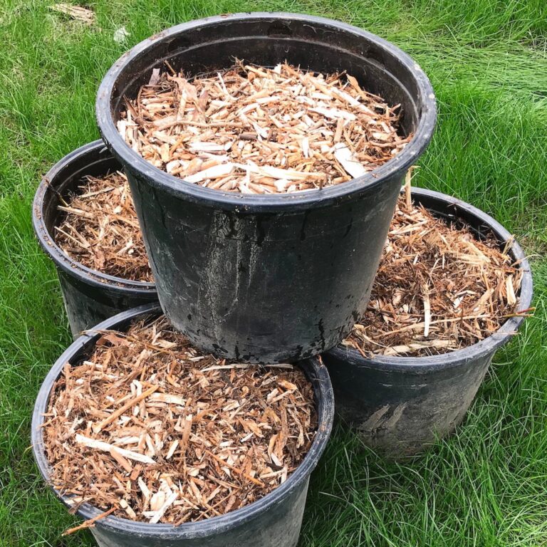 four plastic buckets filled with woodchips