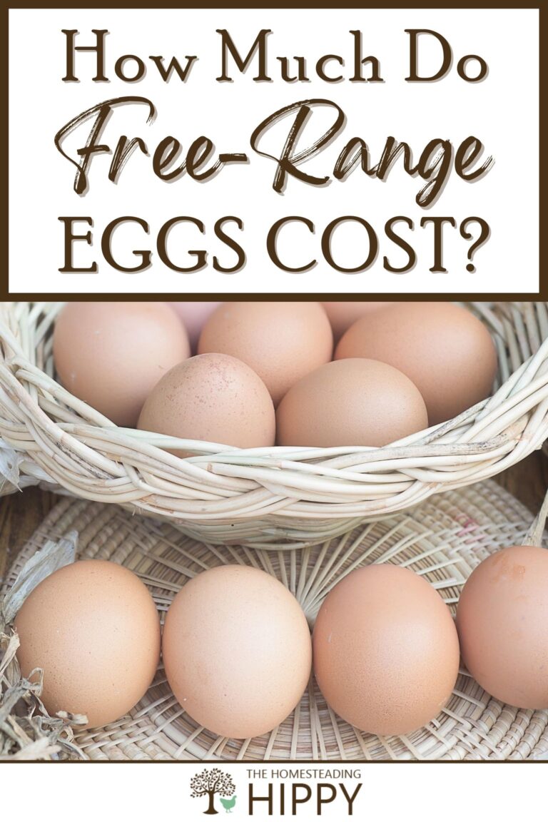 free-range eggs costs pinterest
