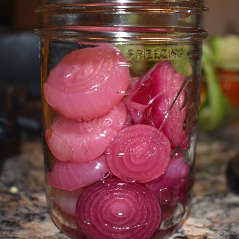 jar filled with onions ready to can