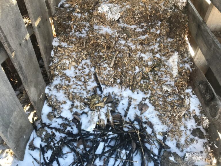 layered compost covered in snow