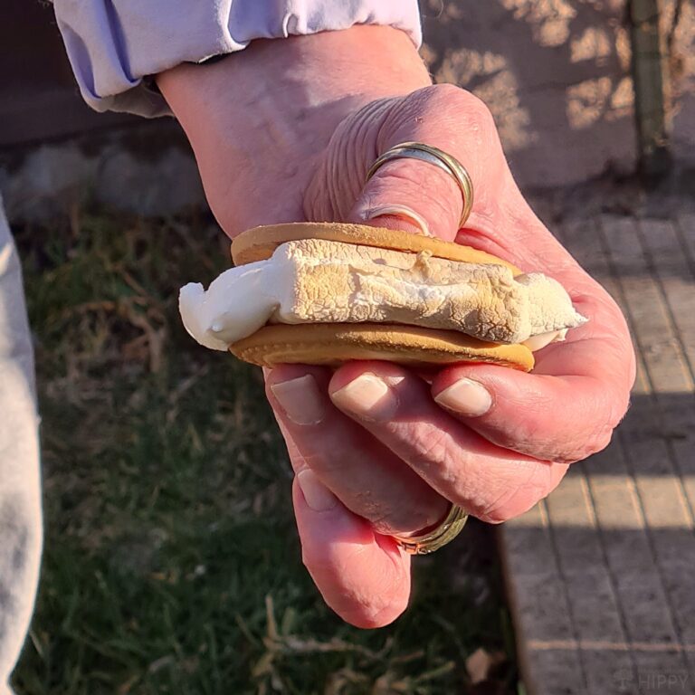 roasted marshmallows served between two marie biscuits