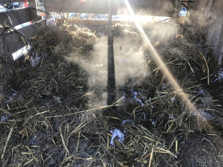 steaming compost bin