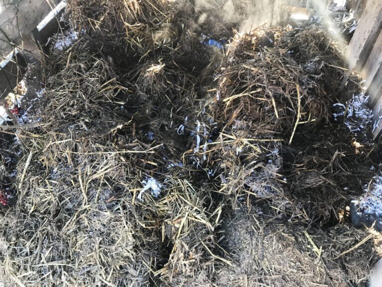 straw over compost in winter to keep it moist