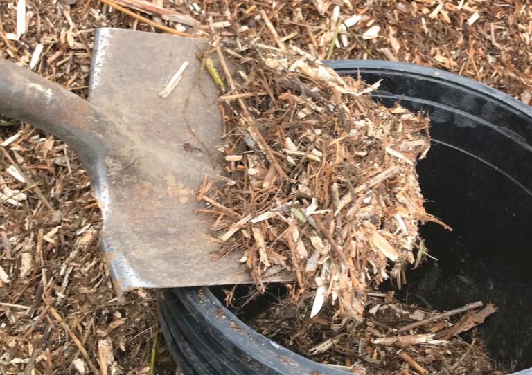 taking wood chips out of bucket with shovel