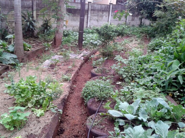 terrace swale and berm in permaculture garden