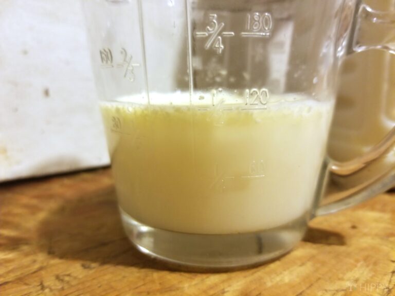 thawed milk