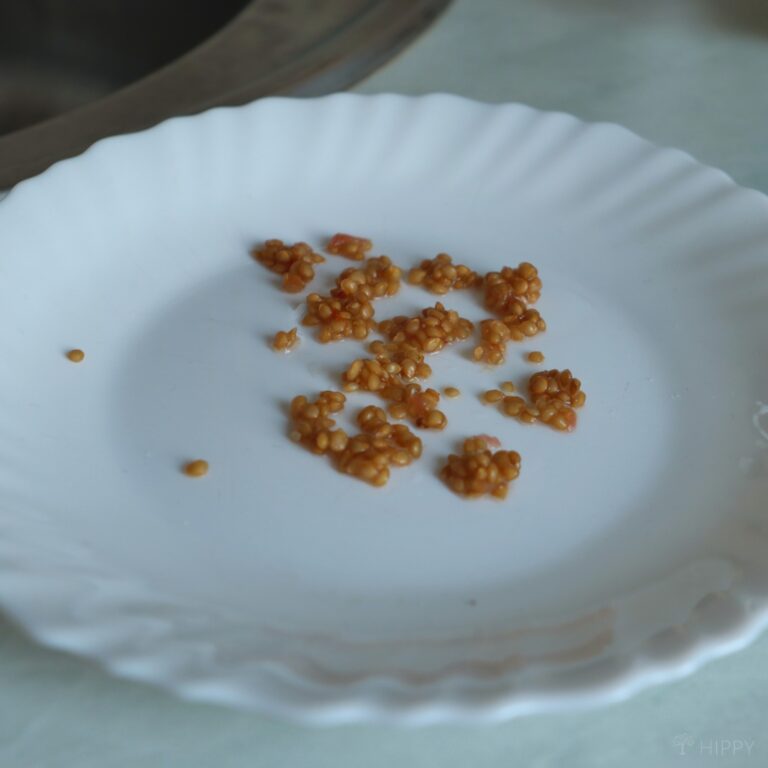 tomato seeds on plate let to dry