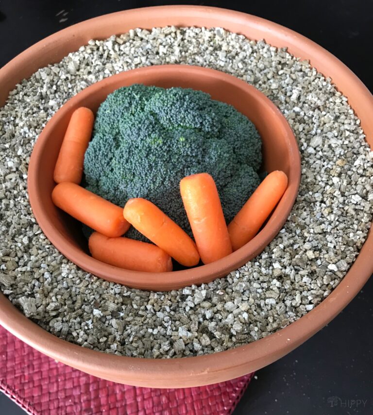zeer pot filled with veggies