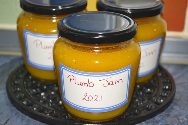 a few jars of plum jam