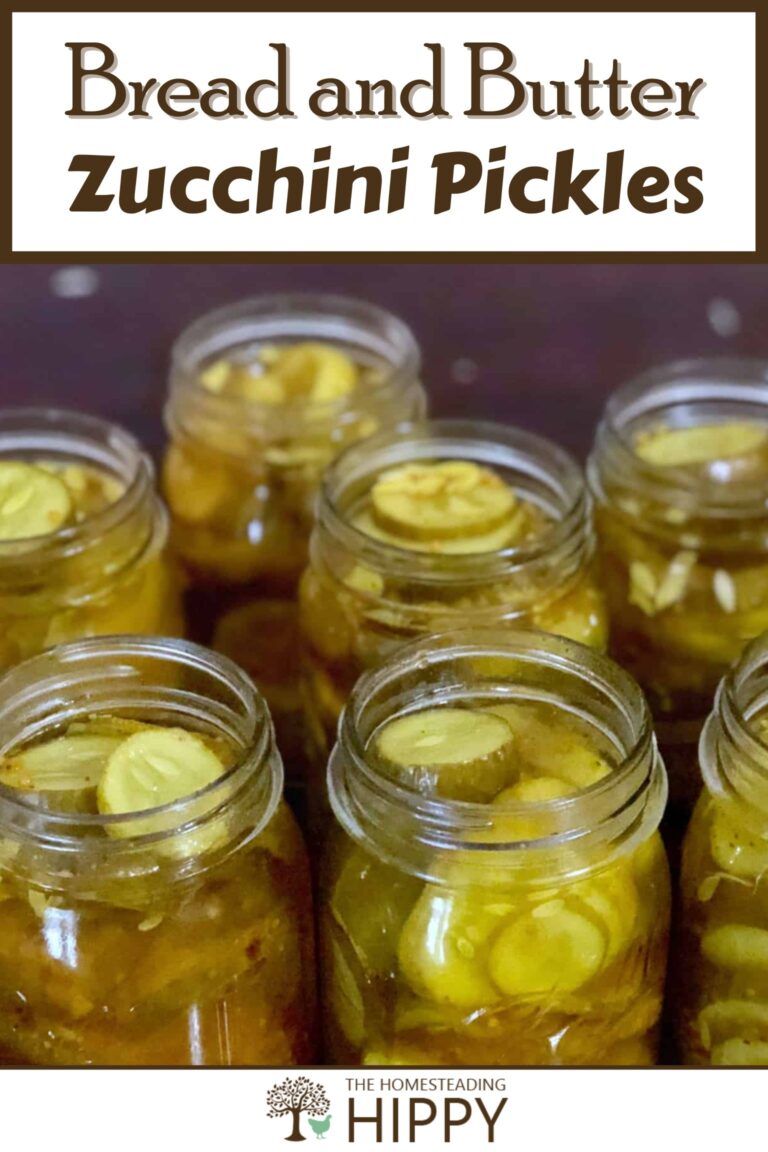 bread and butter zucchini pickles pinterest