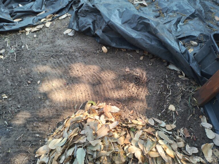 garden bed after leaves have been removed and piled up next to it