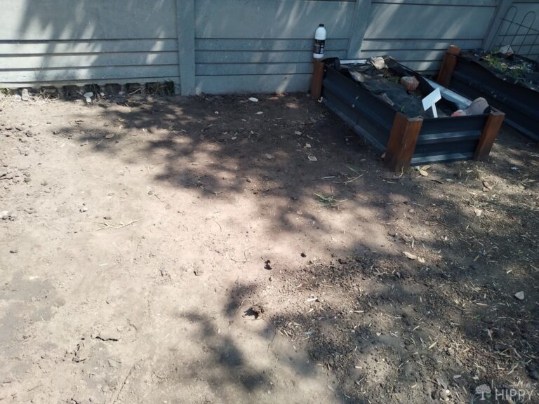 garden bed after solarization