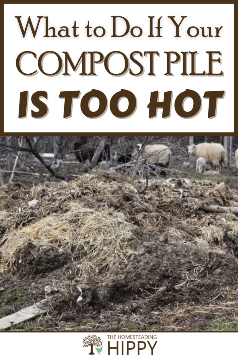 hot compost pile pinterest