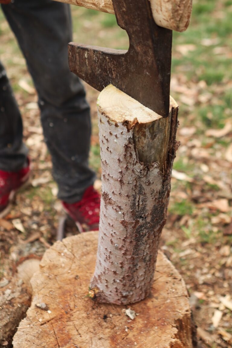 splitting a birch log with an axe
