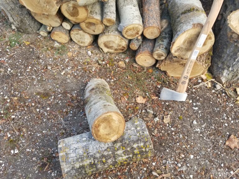 splitting maul next to wooden logs