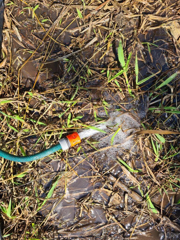 watering soil with hose