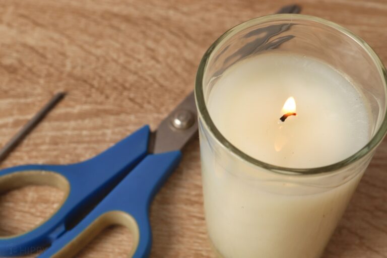 a lit DIY tallow candle