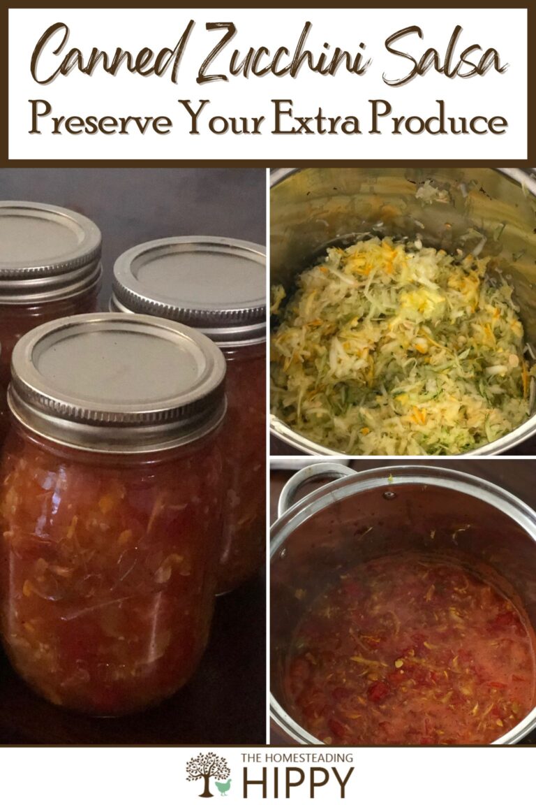 canned zucchini salsa pinterest
