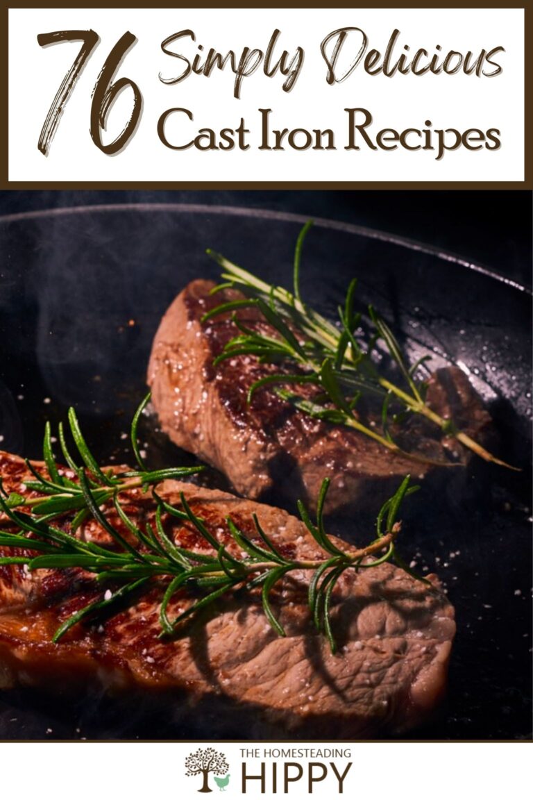 cast iron recipes pinterest