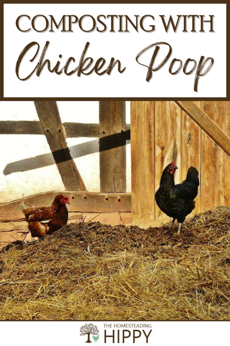 chicken poop compost pinterest