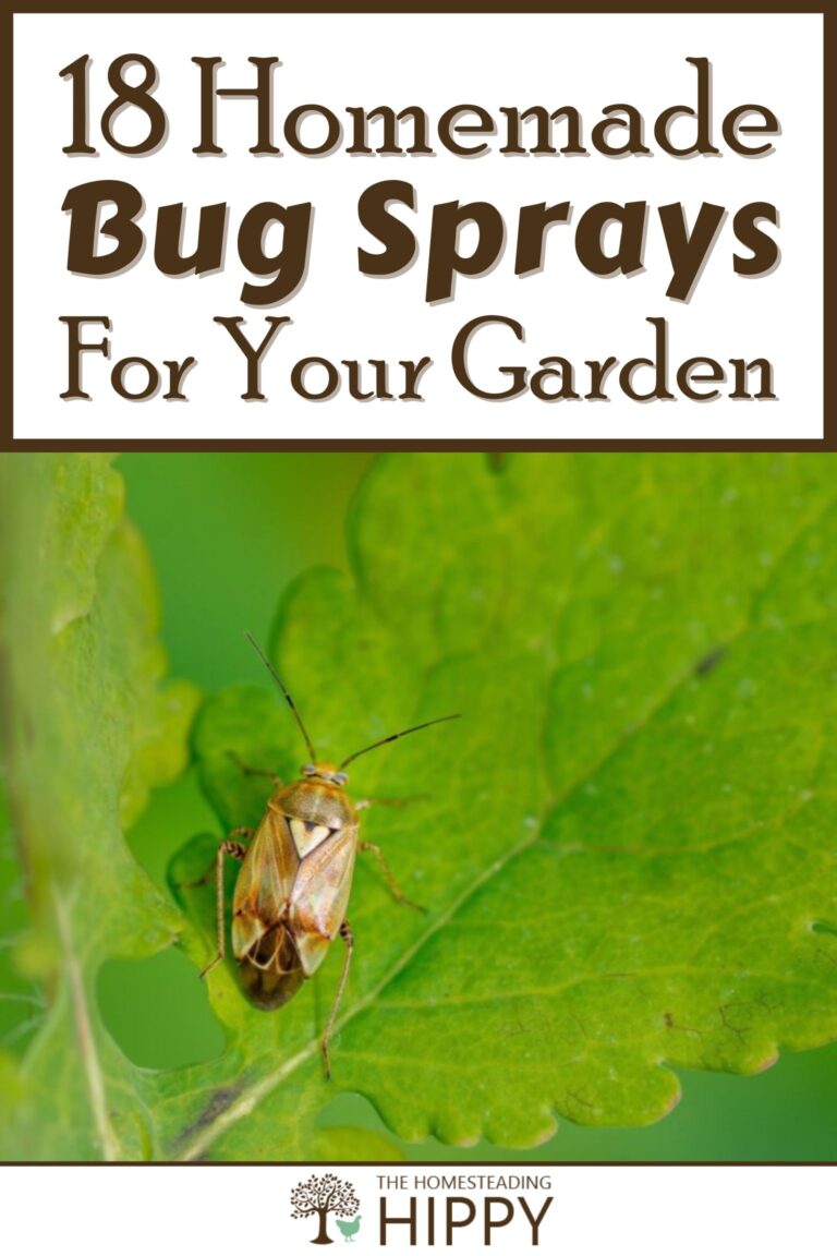 diy bug sprays pinterest