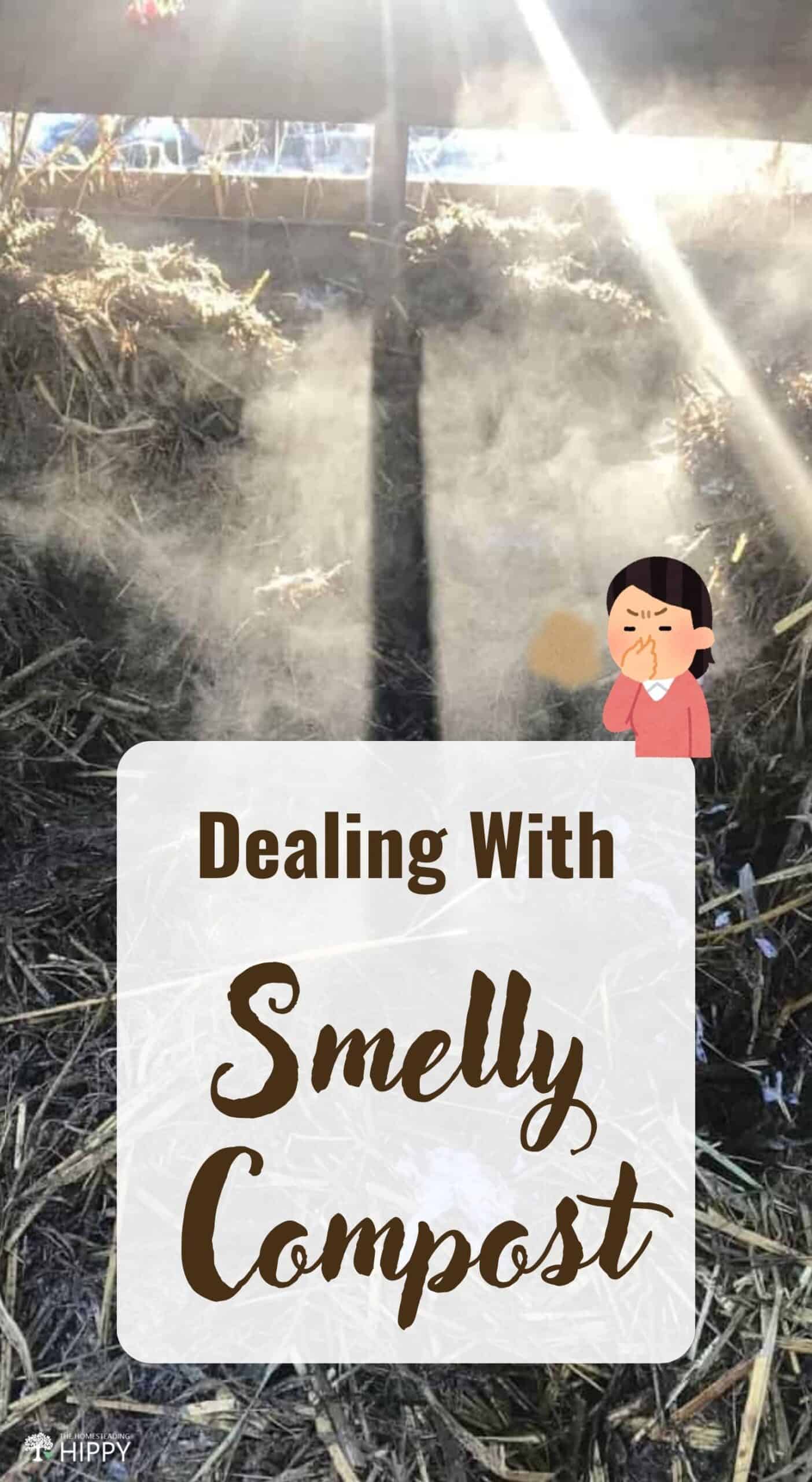 Compost Smells Does Compost Smell? How Bad is It?