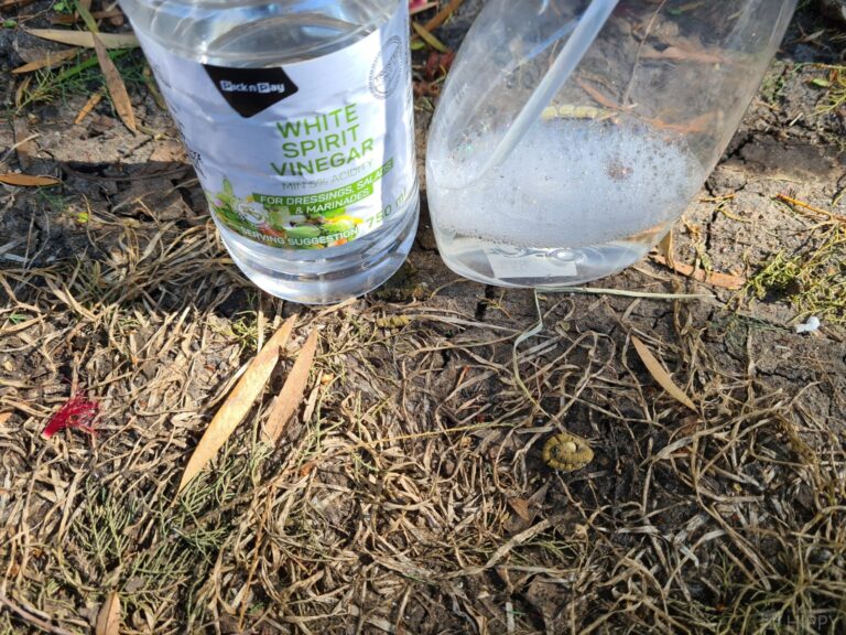 dead grass next to white vinegar bottle and sprayer