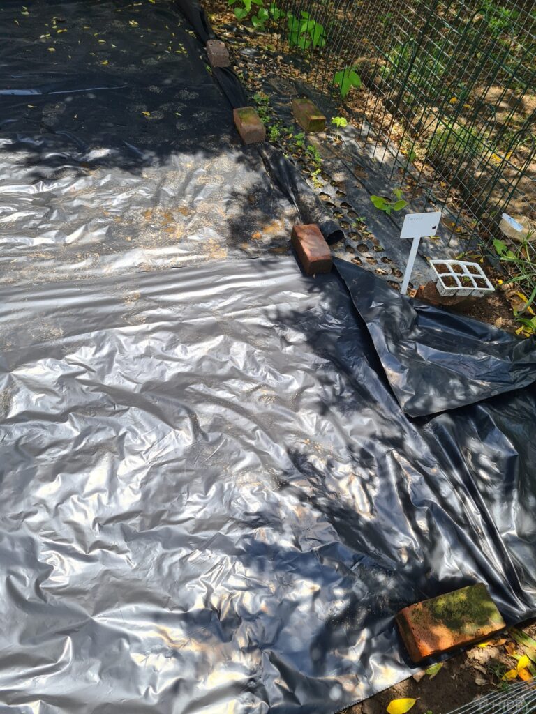 grass covered with a black tarp