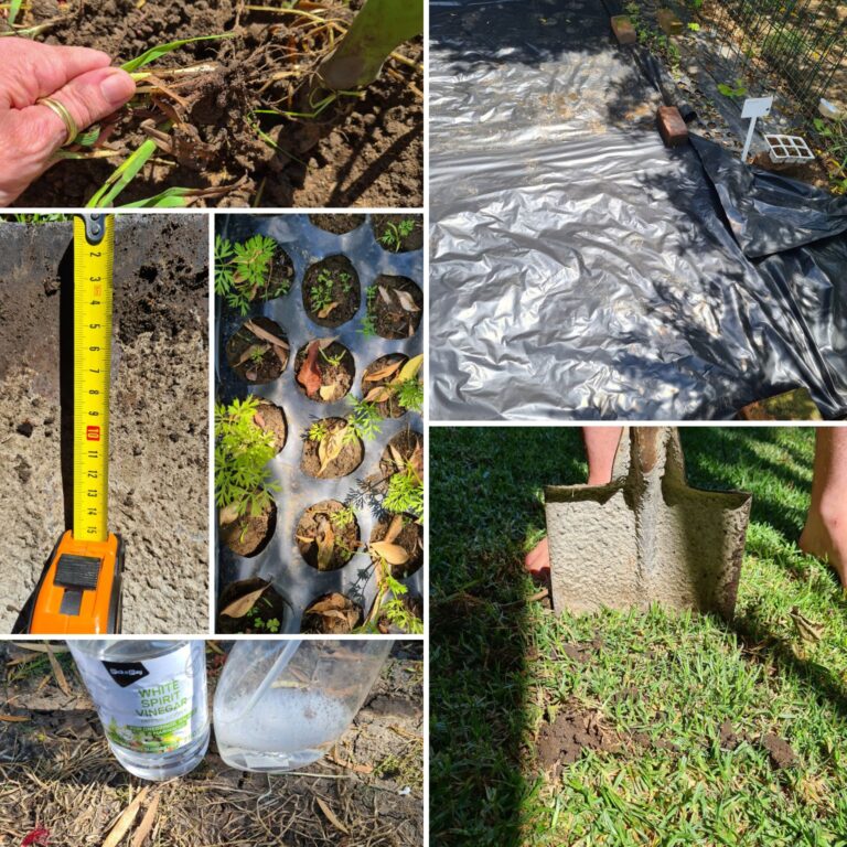 removing grass from garden and flower beds collage