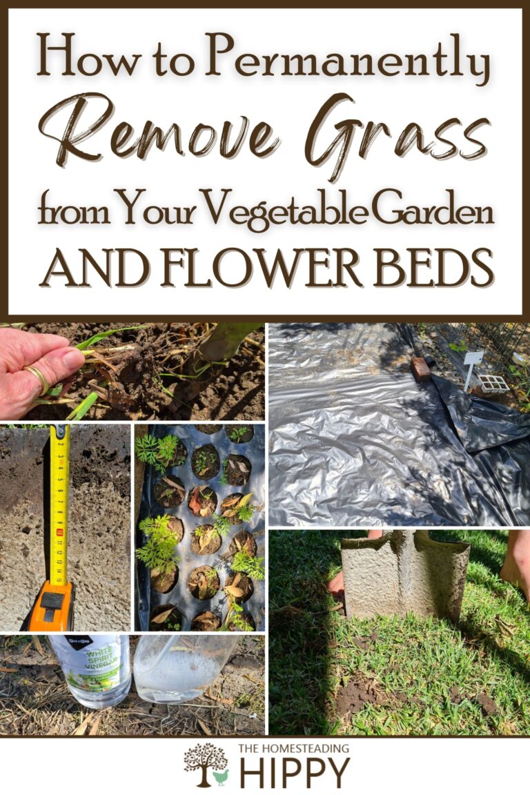 removing grass from garden and flower beds pinterest