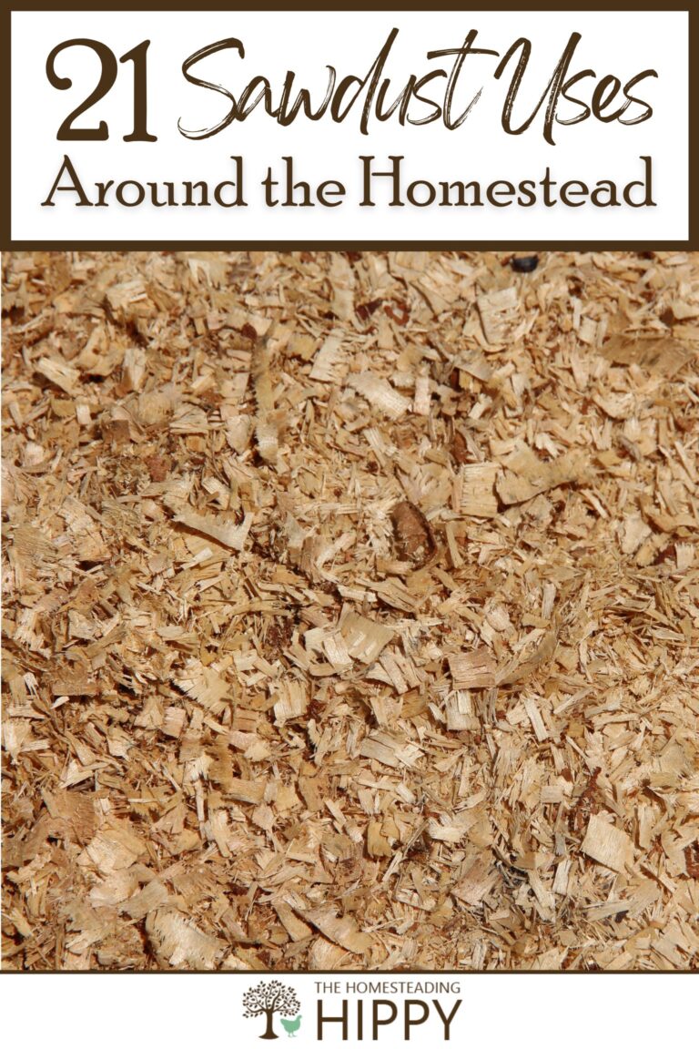 sawdust uses pinterest