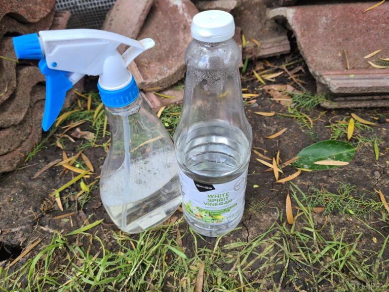 white vinegar bottle and plastic bottle filled with white vinegar diluted in water