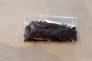 raisins inside freezer bag
