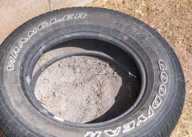 tire with ashes for dustbathing