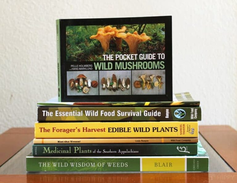 wild foraging books