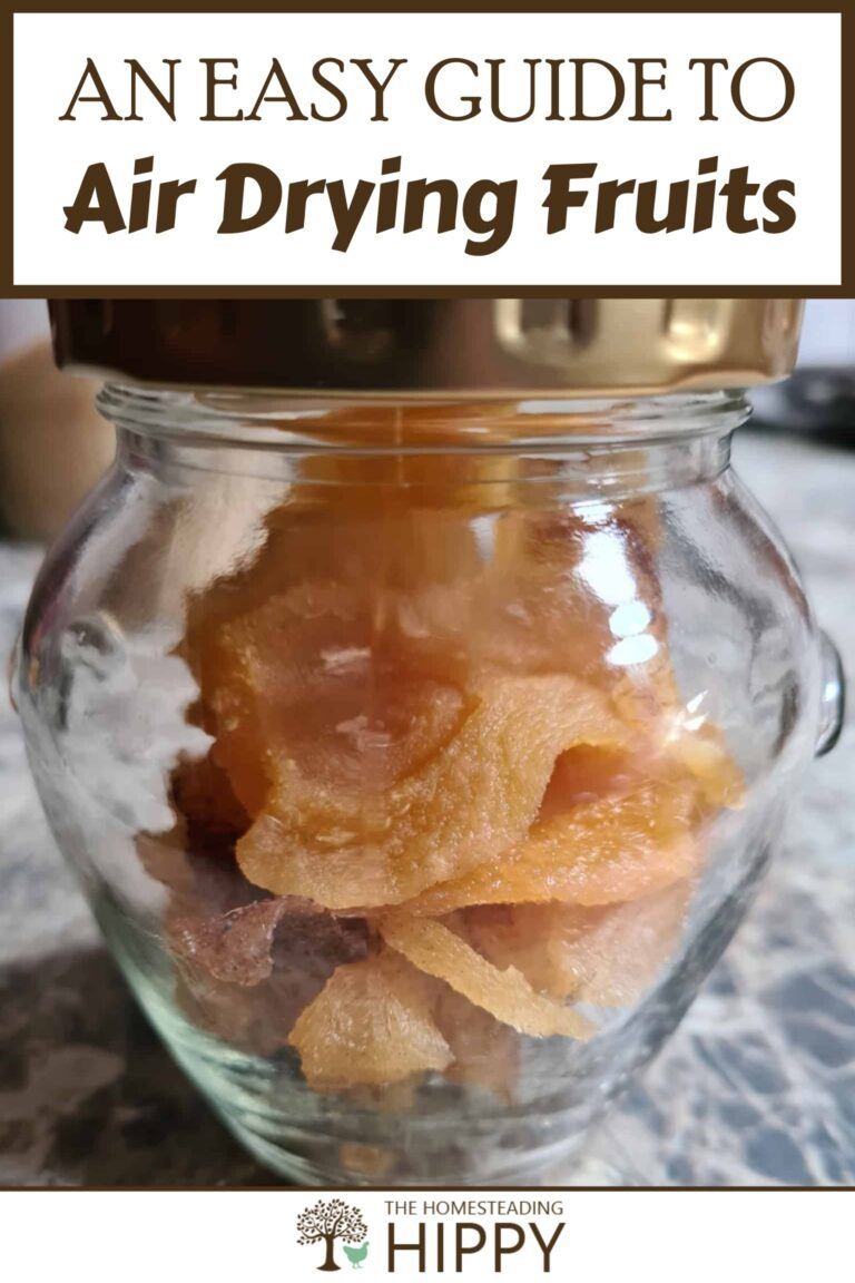 air dring fruits pinterest