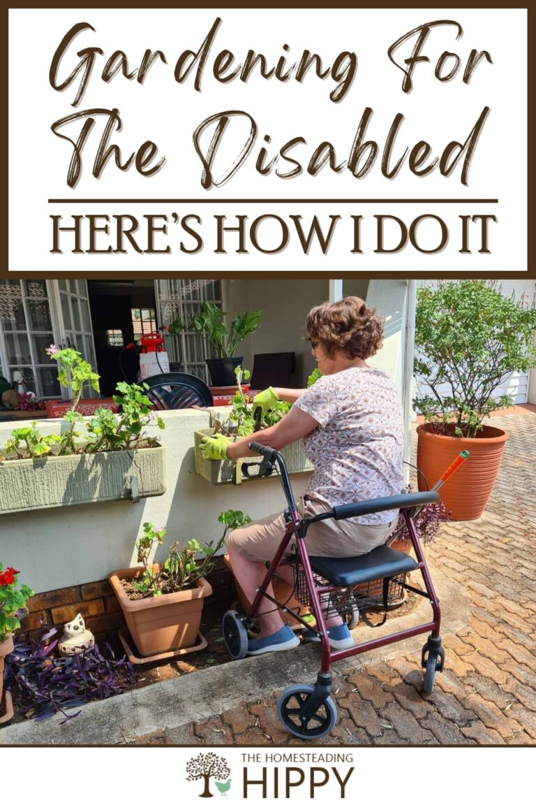 gardening for the disabled pinterest