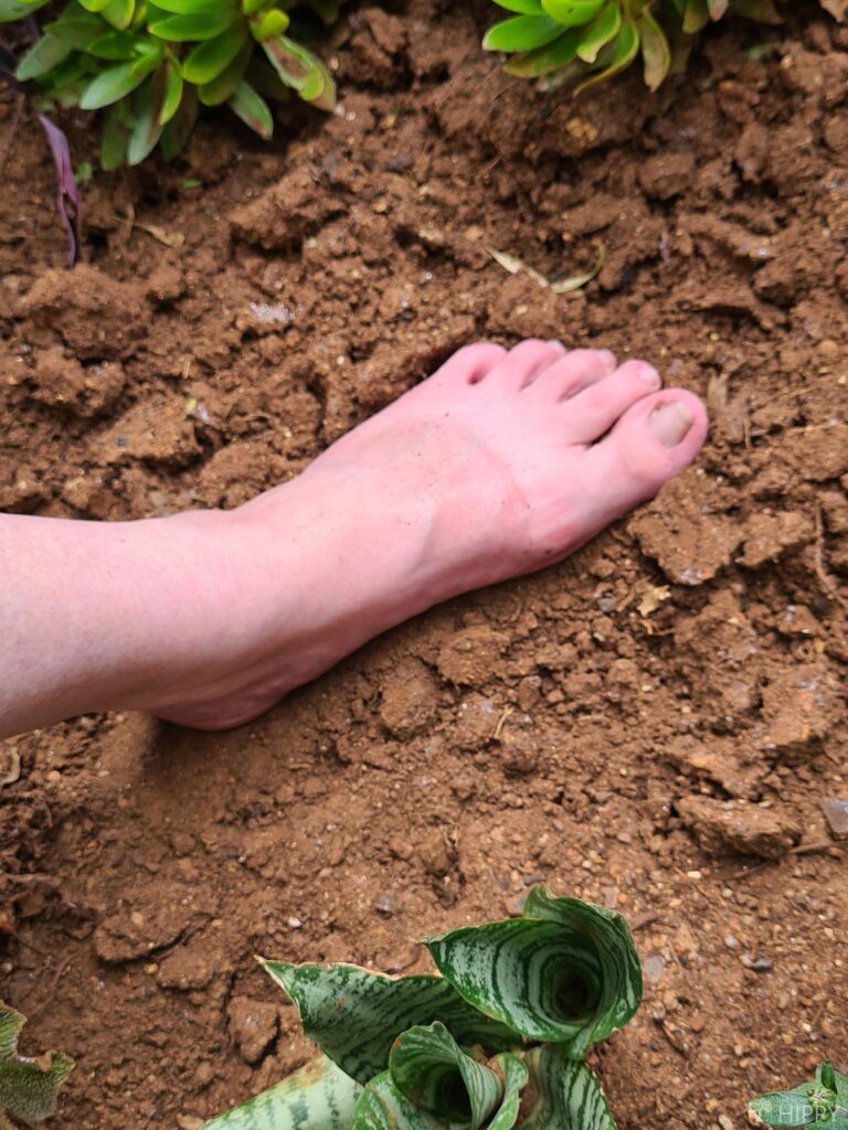 walking barefoot on garden soil
