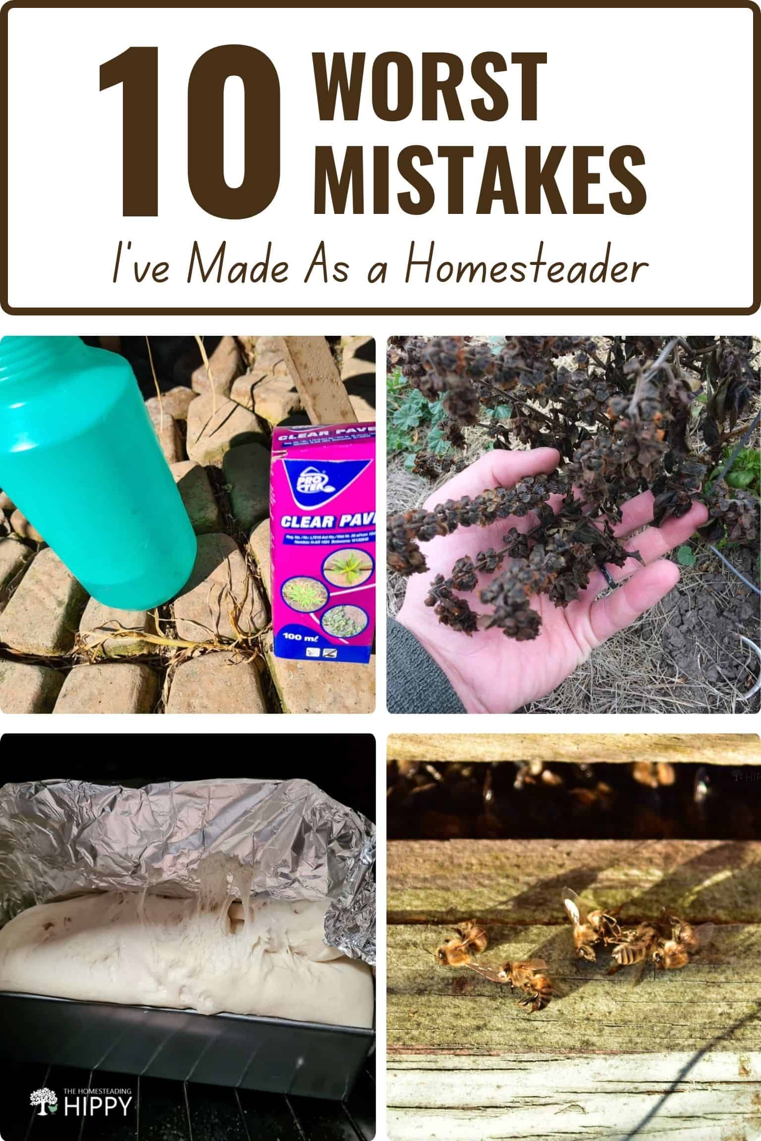 The 10 Worst Mistakes I've Made As a Homesteader