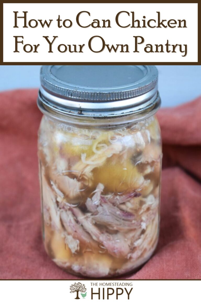 how to can chicken pinterest