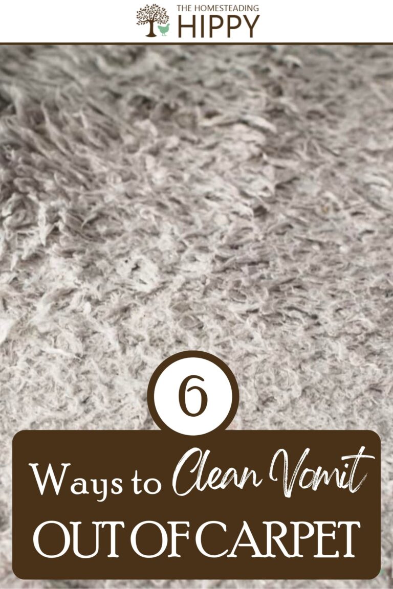 cleaning vomit out of carpet pinterest