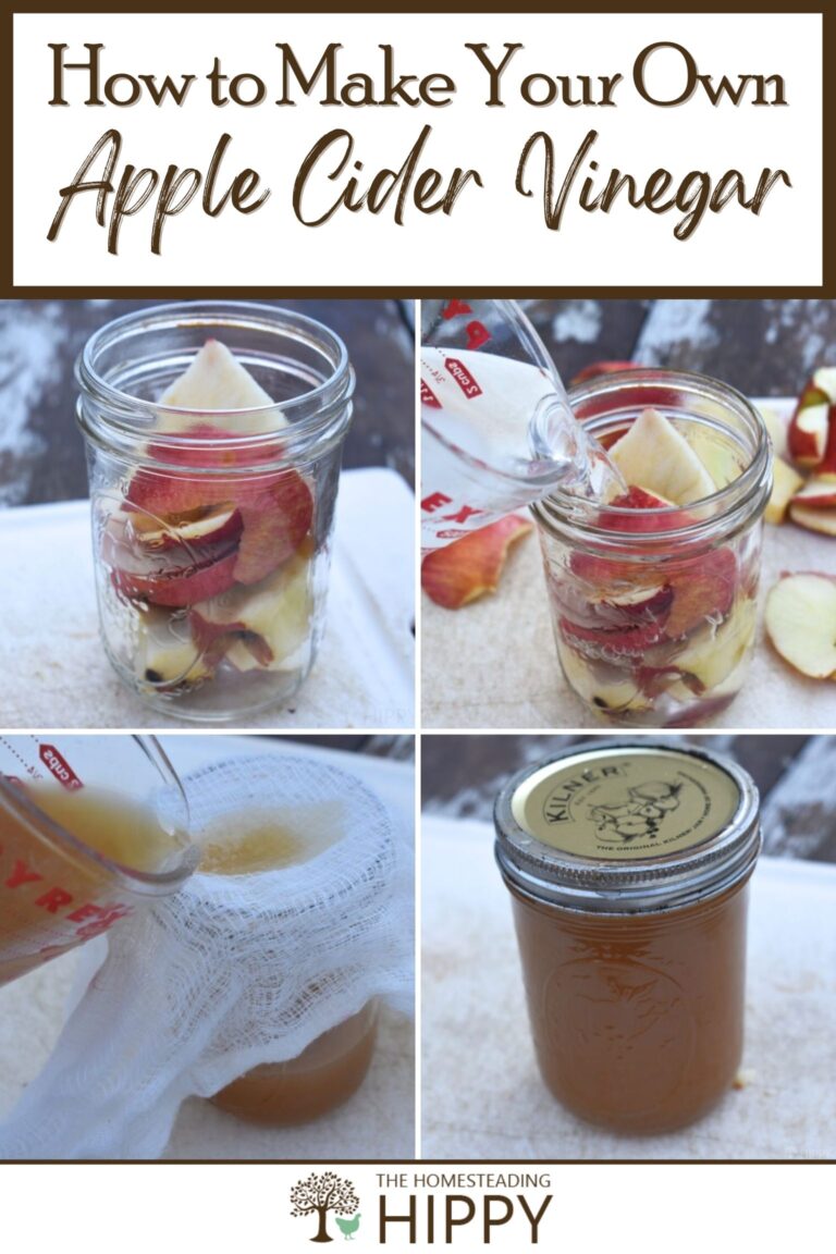 how to make apple cider vinegar pinterest