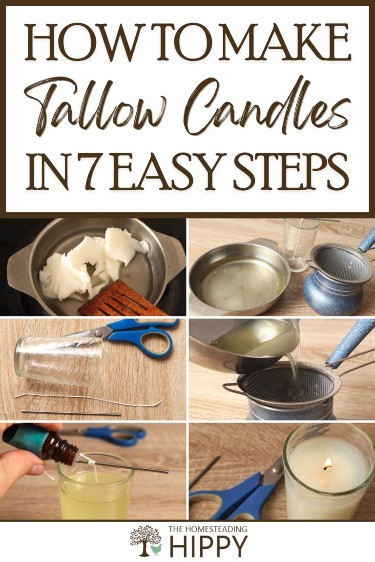 how to make tallow candles pinterest