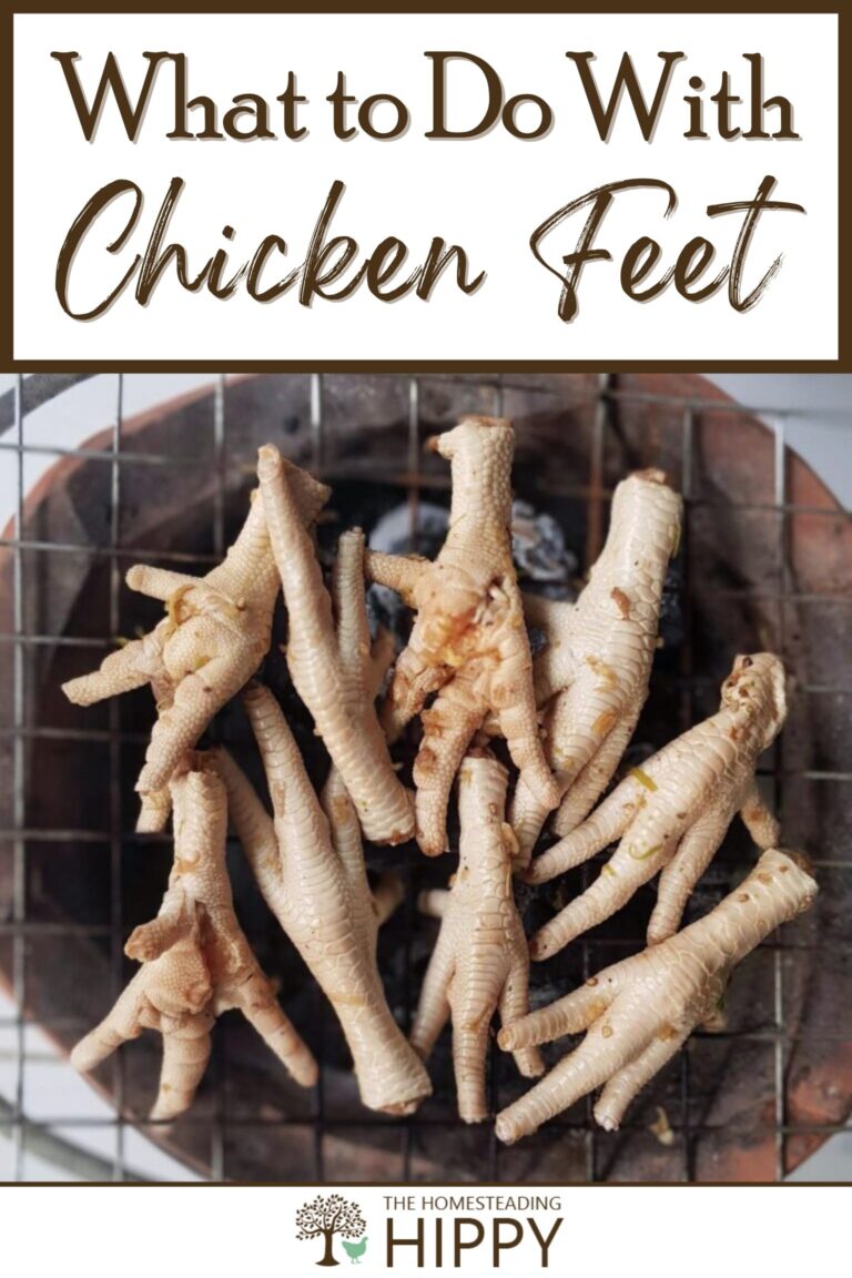 what to do with chicken feet pinterest