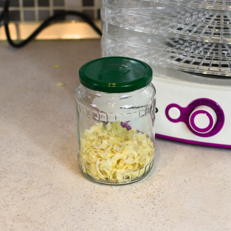 dehydrated onions placed in jar