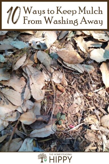 how to keep mulch from washing away pinterest