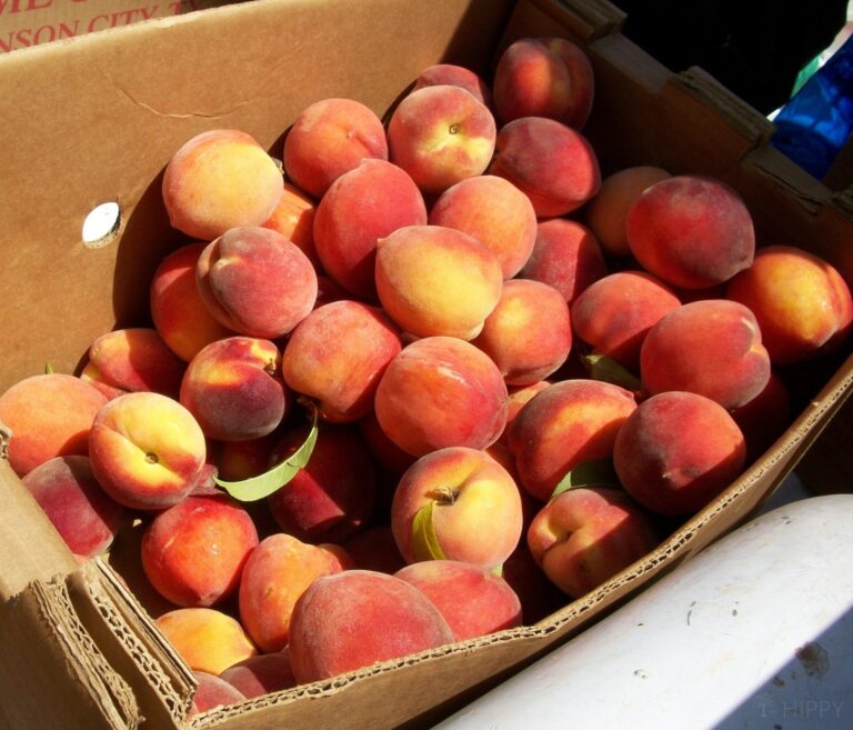 peaches in a box