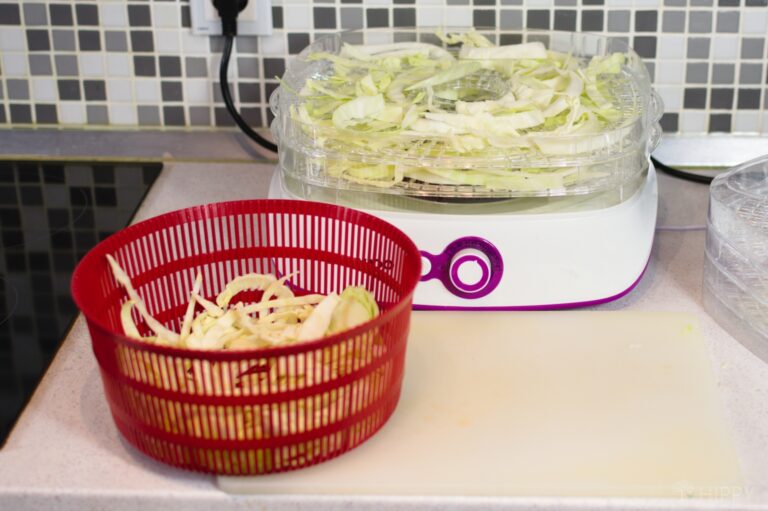 dehydrator cabbage and salad spinner