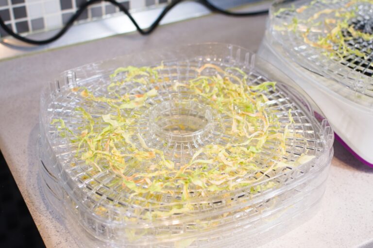 trays with dehydrated cabbage left to cool