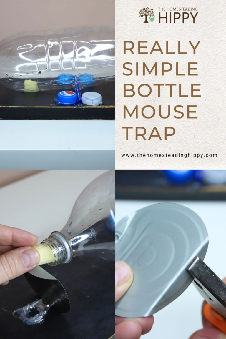 bottle mouse trap pin image